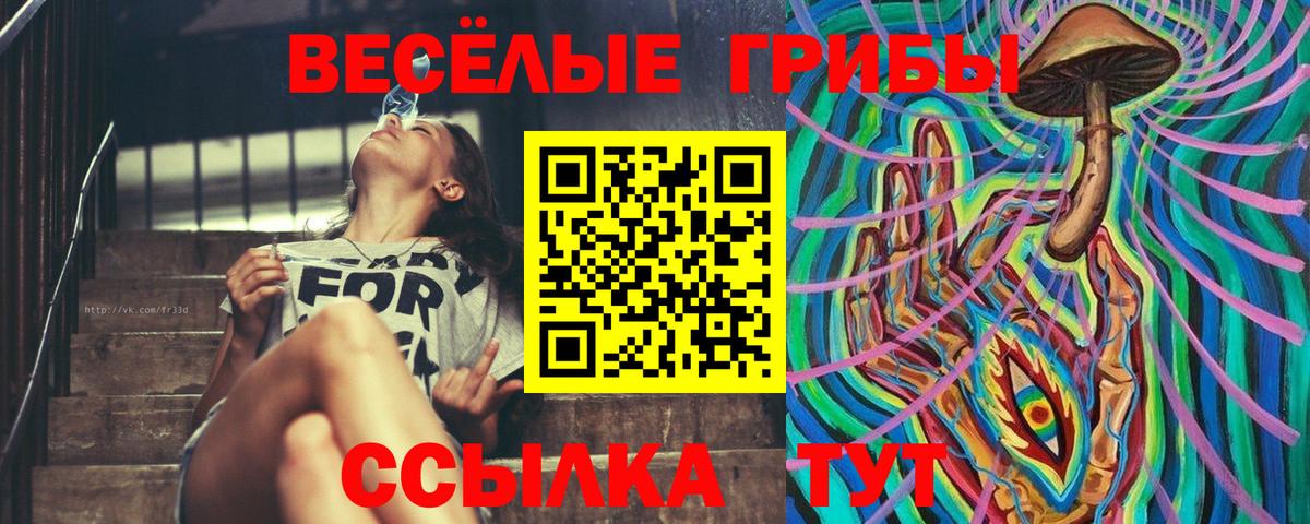 Псилоцибиновые грибы Magic Shrooms  Псилоцибиновые грибы Psilocybe  Петрозаводск  Вход с VPN 